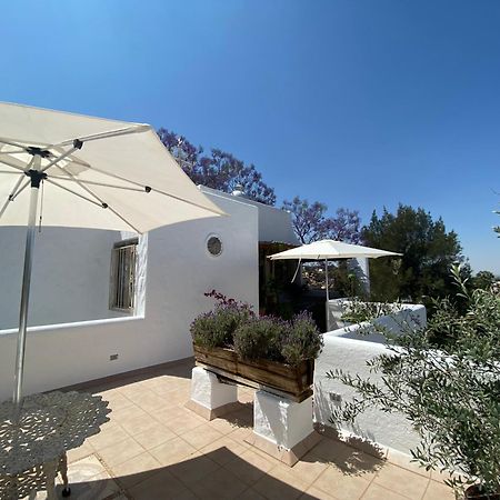 Casa Arbol Hotel Сан Мигел де Аленде Екстериор снимка